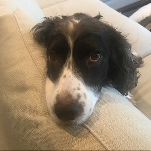 Meet your Posher, Deidra